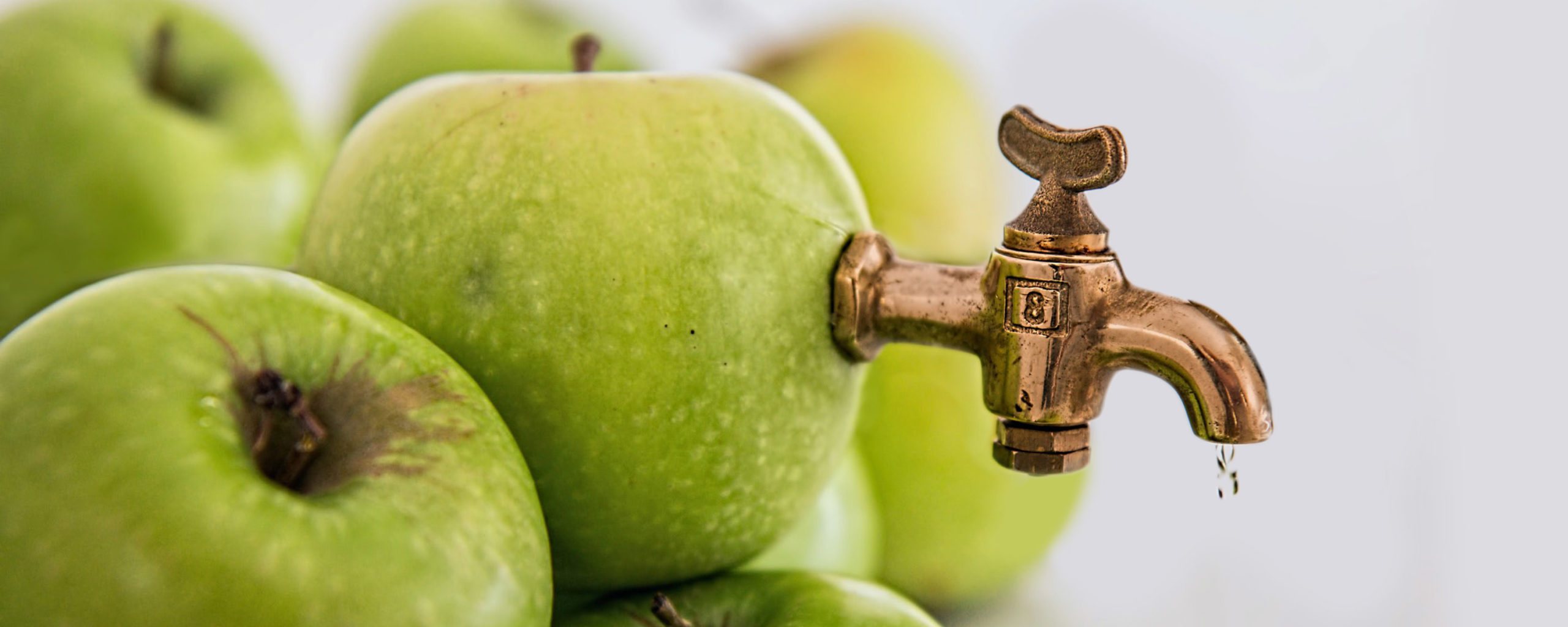 Turning apples into the best apple cider vinegar